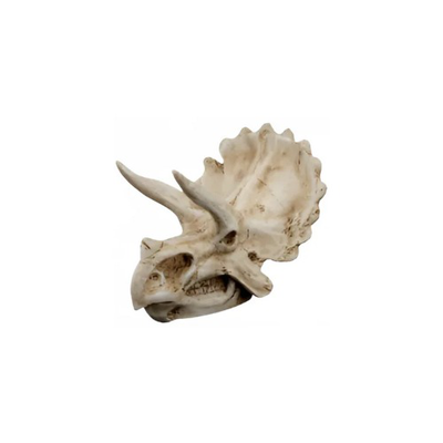Triceratops skull decor, , medium