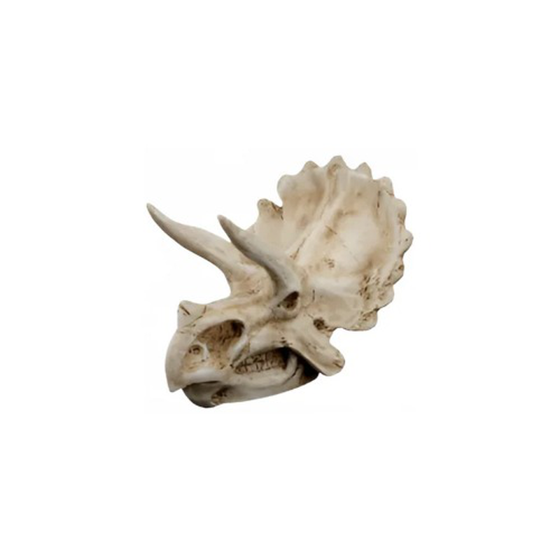 Triceratops skull decor, , medium-null