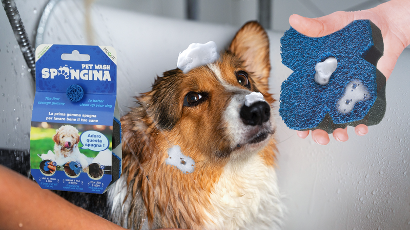 Mugue spongina &sigma;&phi;&omicron;&upsilon;&gamma;&gamma;&alpha;&rho;&iota; &pi;&lambda;&upsilon;&sigma;&iota;&mu;&alpha;&tau;&omicron;&sigmaf; &kappa;&alpha;&tau;&omicron;&iota;&kappa;&iota;&delta;&iota;&omega;&nu; 3 &sigma;&epsilon; 1-null