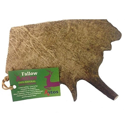 Fallow antler large - 200gr, , medium