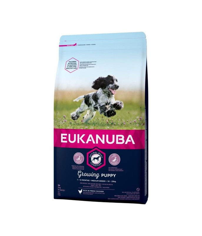 Puppy medium breed-null