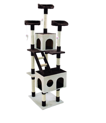 Imac athos cat scartcher, , medium