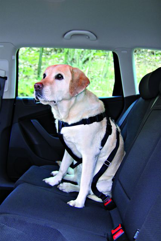 Car harness xl 80-110cm, , medium-null
