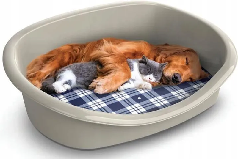 Pet bed with pillow- 46x35xh18cm-null