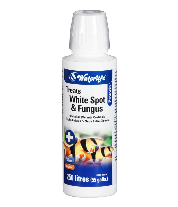 Waterlife protozin &lambda;&iota;&tau;&rho;&alpha; 100ml-null