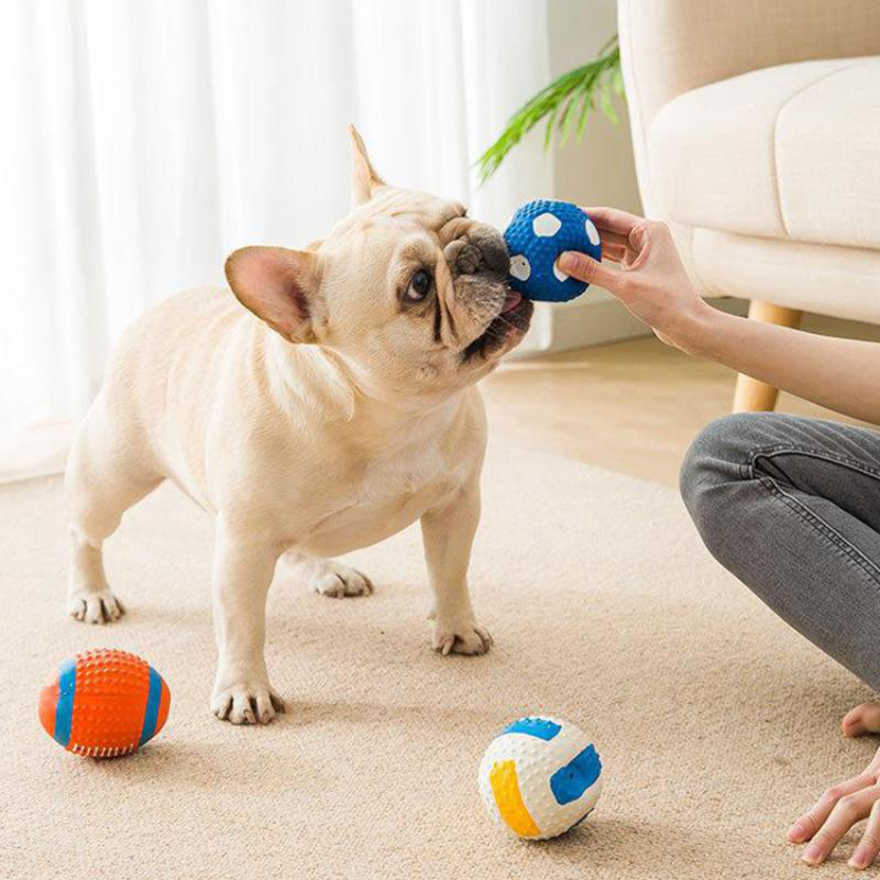 Squeaky ball toy for dogs-null