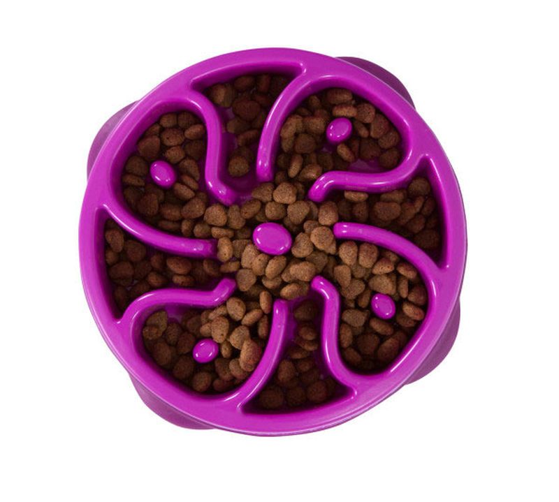 Outward hound fun slow feeder flower prpl m-null