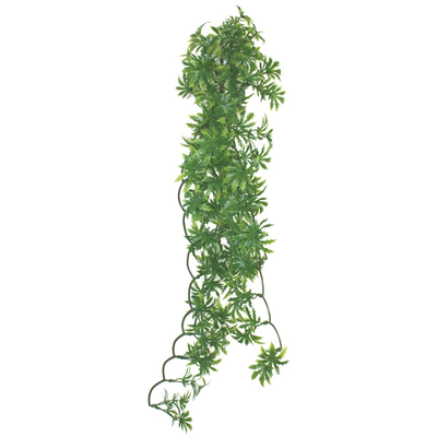 Kom hanging plant papaya leaf vine 35cm, , medium