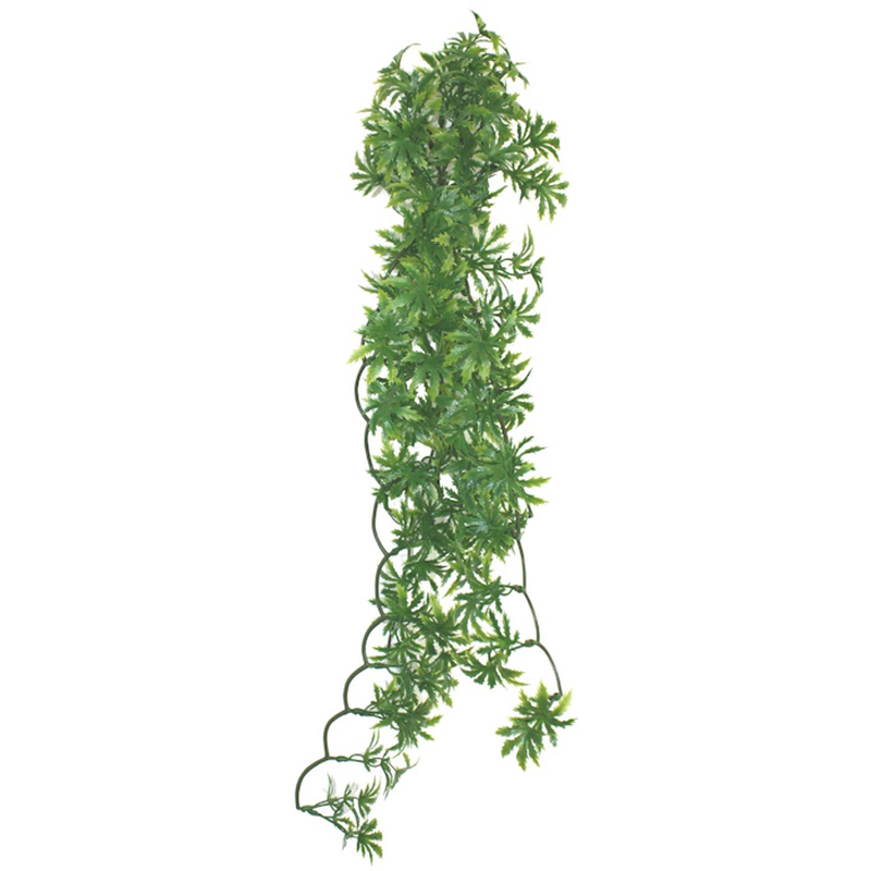 Product image: Kom hanging plant papaya leaf vine 35cm, , medium-null