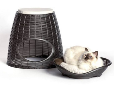 &Delta;&iota;&pi;&lambda;ό &kappa;&rho;&epsilon;&beta;&alpha;&tau;ά&kappa;&iota; &gamma;ά&tau;&alpha;&sigmaf;-&sigma;&kappa;&alpha;&mu;&pi;ό 52x50x55cm rattan + 2 &mu;&alpha;&xi;&iota;&lambda;ά&rho;&iota;&alpha; pasha &alpha;&nu;&theta;&rho;&alpha;&kappa;ί &ndash; bama italy, , medium