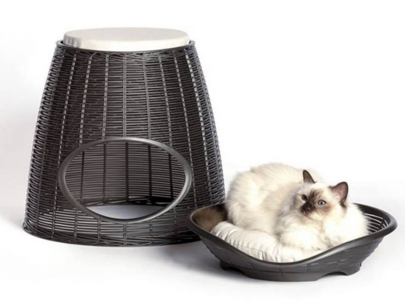 &Delta;&iota;&pi;&lambda;ό &kappa;&rho;&epsilon;&beta;&alpha;&tau;ά&kappa;&iota; &gamma;ά&tau;&alpha;&sigmaf;-&sigma;&kappa;&alpha;&mu;&pi;ό 52x50x55cm rattan + 2 &mu;&alpha;&xi;&iota;&lambda;ά&rho;&iota;&alpha; pasha &alpha;&nu;&theta;&rho;&alpha;&kappa;ί &ndash; bama italy, , medium-null