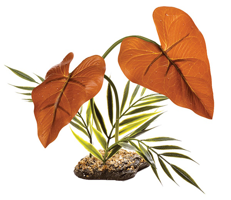 Kom standing plant rainforest canopy 38cm, , medium-null