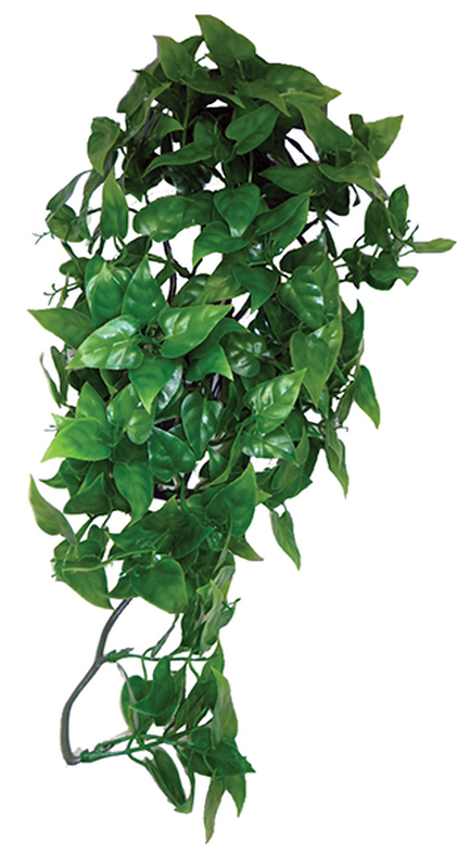 Hanging plant philodendron 40cm, , medium-null