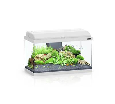 Aquarium aquadream cor025 80x30x45cm/white, , medium