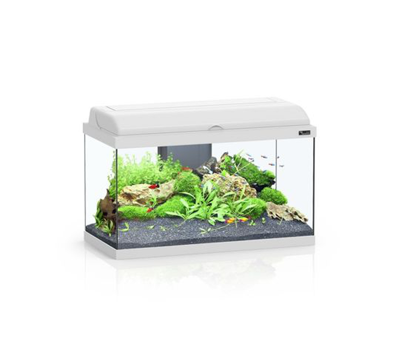 Aquarium aquadream cor025 80x30x45cm/white, , medium-null