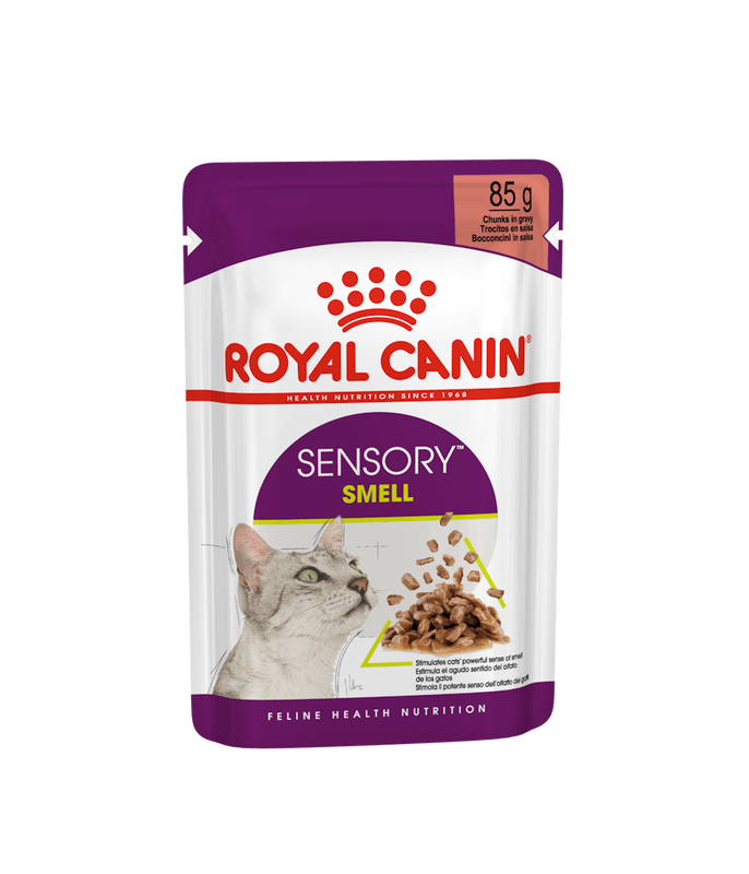 Royal canin cat wet food sensory smell chunks in gravy &sigma;&upsilon;&sigma;&kappa;&epsilon;&upsilon;&alpha;&sigma;&iota;&alpha; 85g-null