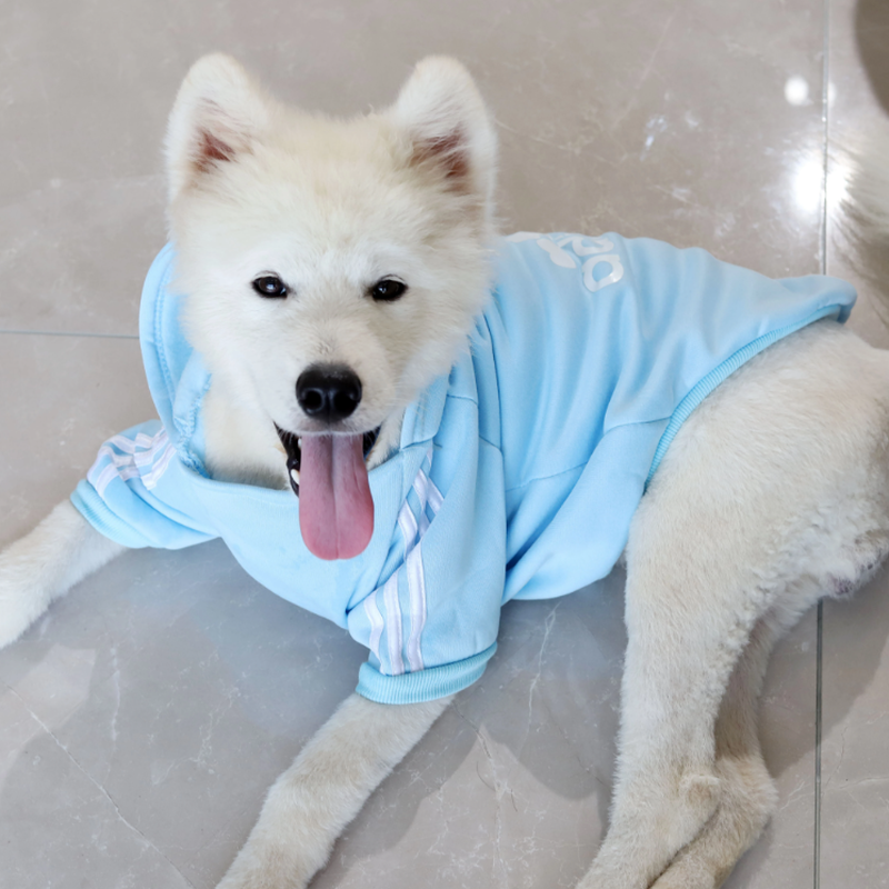 Adidog sport hoodie for dogs-null