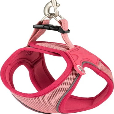 Max & molly Air vest dog harness matrix rose 2.0 - large, , medium