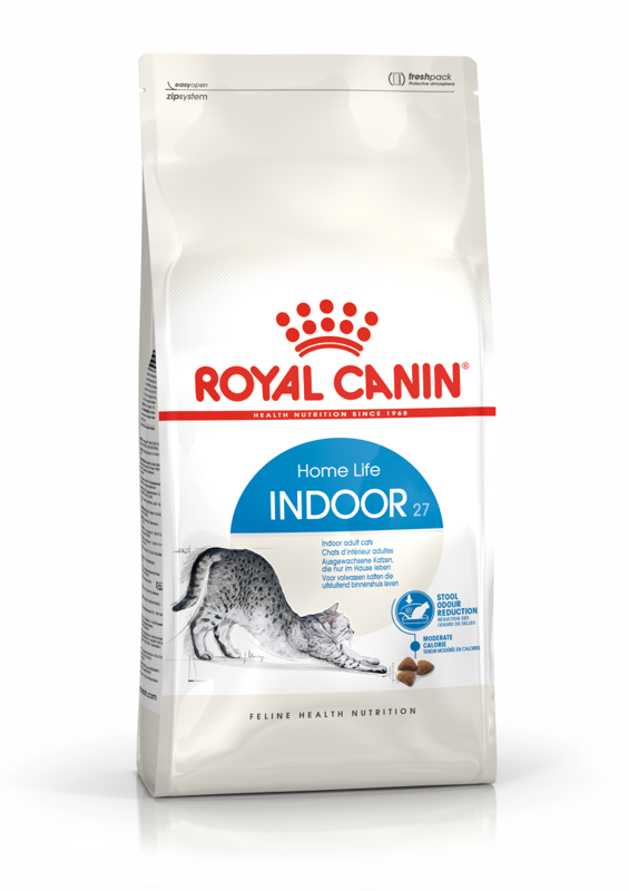 Indoor27 cat-null
