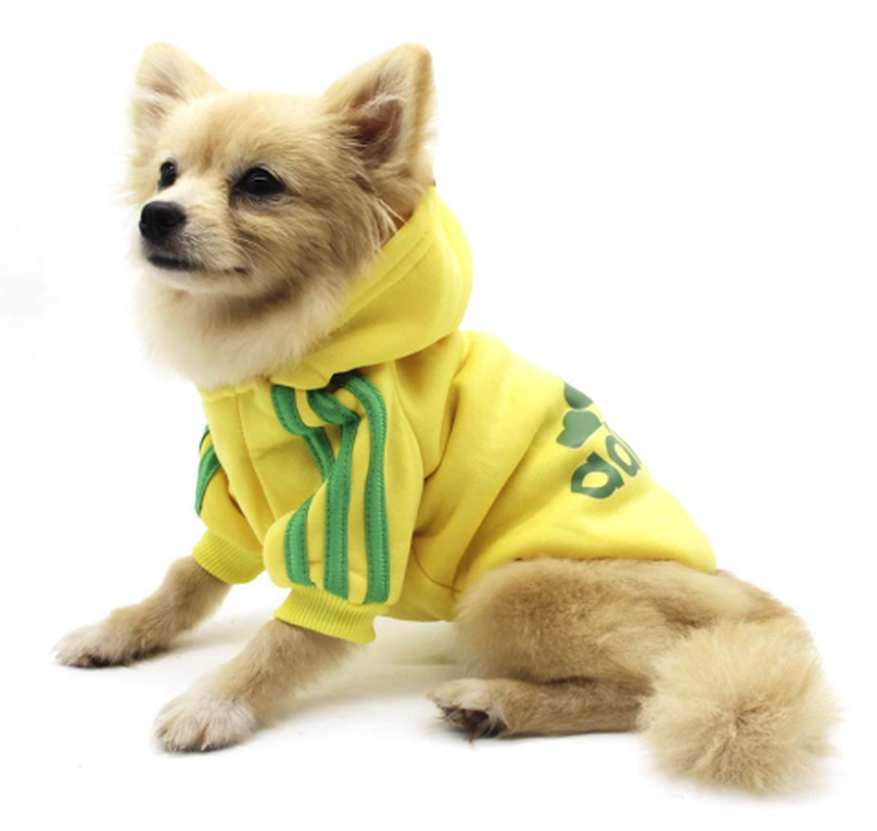 Adidog sport hoodie for dogs-null