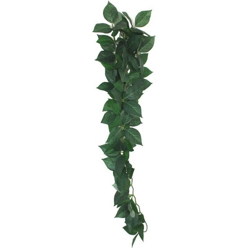 Hanging plant ficus silk vine 60cm, , medium-null