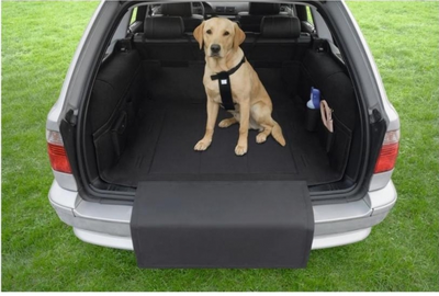 Nobby car cover, , medium