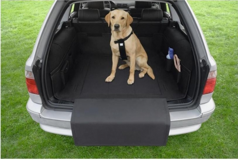 Nobby car cover-null
