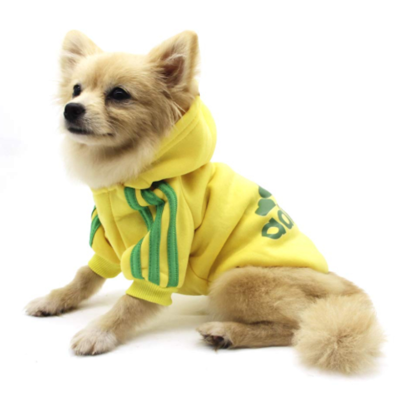 Sport hoodie for dogs medium - assorted colors, , medium-null