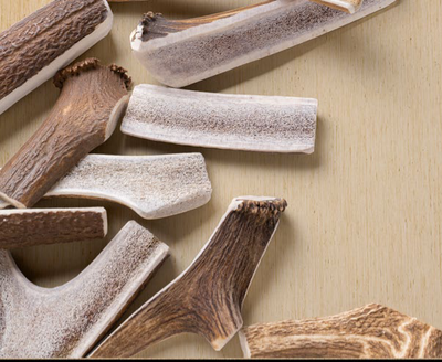 Antlerworld split deer antler dog chew, , medium