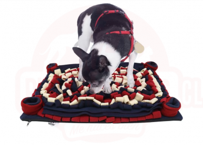 Pawise nose work interactive treat mat for dogs - 1gr-null