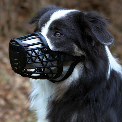 Muzzle plastic m-l black 26cm, , medium