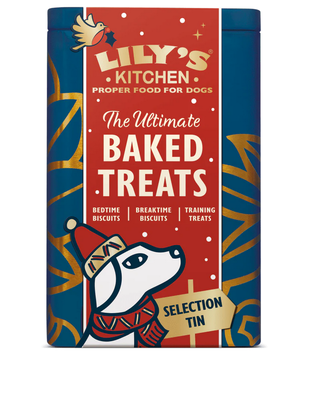 Lily's kitchen festive the ultimate baked treats tin - 300gr, , medium