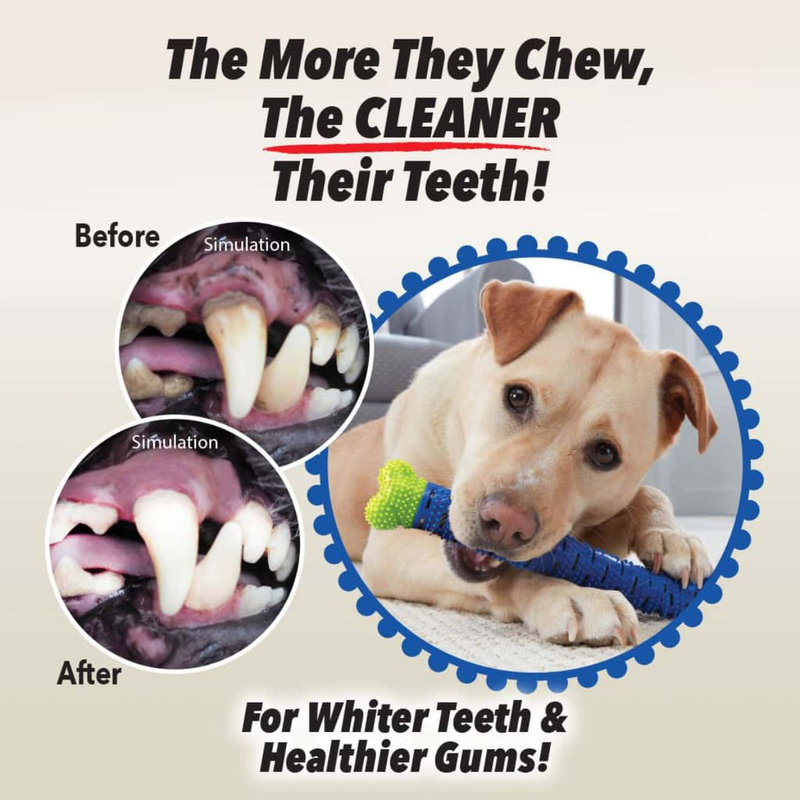 Chewbrush &omicron;&delta;&omicron;&nu;&tau;ό&beta;&omicron;&upsilon;&rho;&tau;&sigma;&alpha; &alpha;&upsilon;&tau;&omicron;&beta;&omicron;&upsilon;&rho;&tau;&sigma;ί&sigma;&mu;&alpha;&tau;&omicron;&sigmaf; &gamma;&iota;&alpha; &sigma;&kappa;ύ&lambda;&omicron;&upsilon;&sigmaf; 15784-26, , medium-null