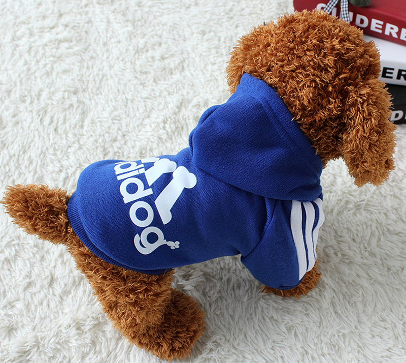 Adidog sport hoodie for dogs-null