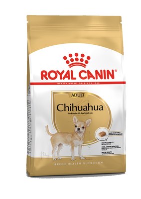 Chihuahua adult 1.5kg, , medium