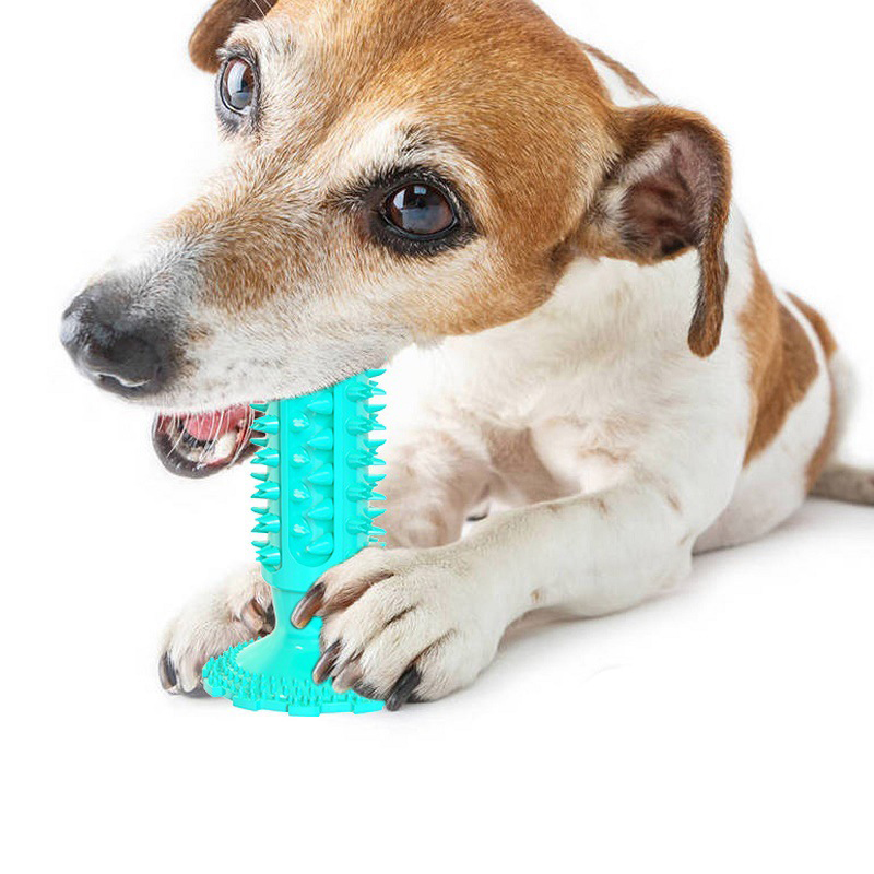 Pet cleaning teeth toy with sound - 5x5.5xh15cm-null