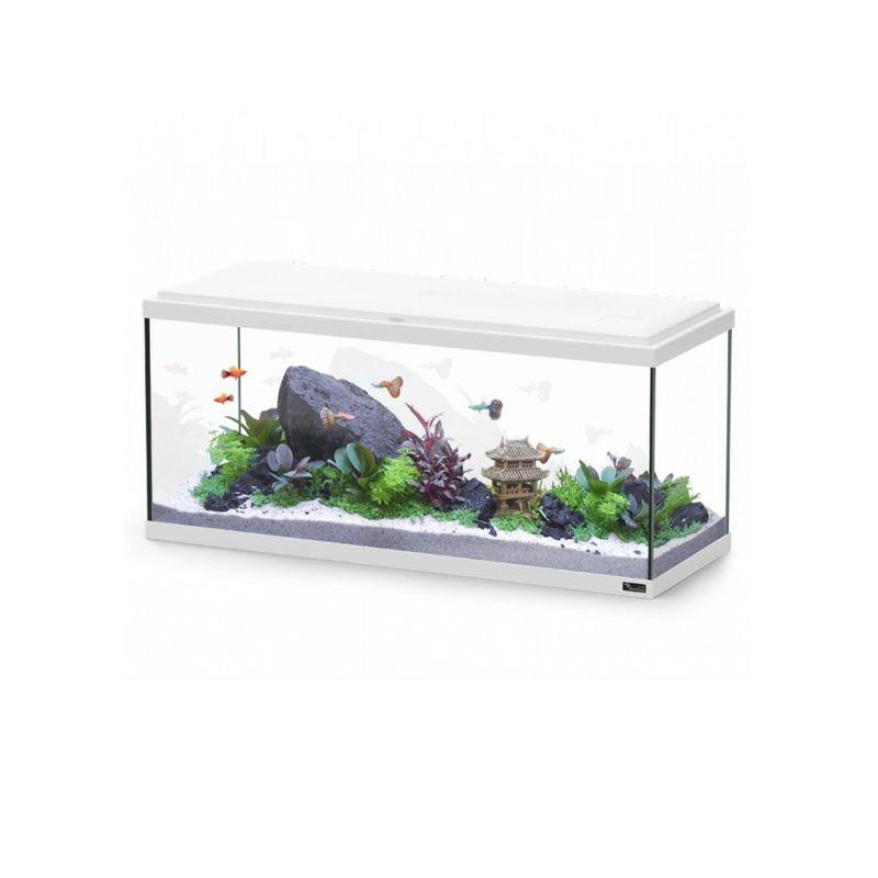Aquatlantis explorer amsterdam 80 col025 white, , medium-null