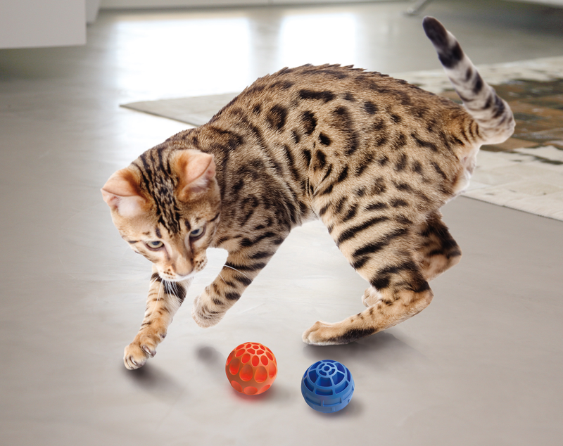 Georplast heavy plastic ball for pets - assorted colors, , medium-null