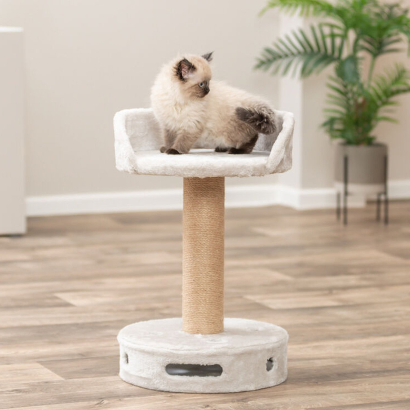 Trixie dalia cat tree with play foot 54cm grey, , medium-null
