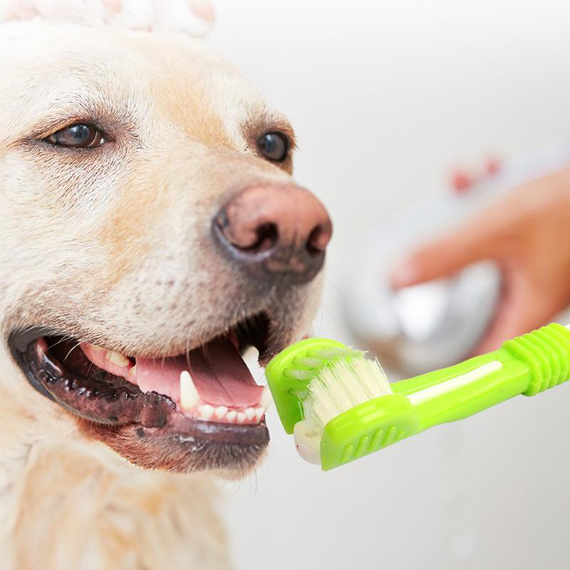 Product image: Ideaplus pet toothbrush with 3-sided head - assorted colors, , medium-null