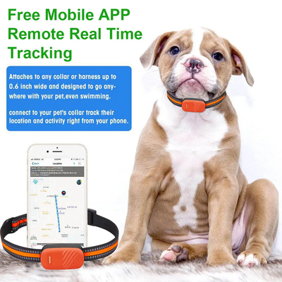 New arrival waterproof pet locator 4G lte real time dog cat animal GPS tracking device GPS tracker key attributes industry-specific attributes positioning mode gsm, gps, gprs, lbs, agps, glonass, real-time positioning function waterproof , fast charging, street view data storage cloud storage other attributes type mini, wireless, build-in placement portable track view pc, ios app, sms coordinate, android app warranty 1 year place of origin guangdong brand name oem model number g51 use animals, pet, dog, cat packaging and delivery selling units: single item  single package size: 11.8x8.8x3 cm  single gross weight: 0.155 kg, , medium
