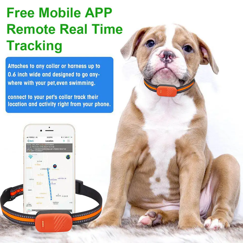 New arrival waterproof pet locator 4G lte real time dog cat animal GPS tracking device GPS tracker key attributes industry-specific attributes positioning mode gsm, gps, gprs, lbs, agps, glonass, real-time positioning function waterproof , fast charging, street view data storage cloud storage other attributes type mini, wireless, build-in placement portable track view pc, ios app, sms coordinate, android app warranty 1 year place of origin guangdong brand name oem model number g51 use animals, pet, dog, cat packaging and delivery selling units: single item  single package size: 11.8x8.8x3 cm  single gross weight: 0.155 kg, , medium-null