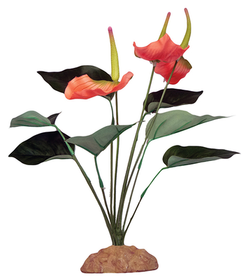 Kom standing plant anthurium bush 29cm, , medium