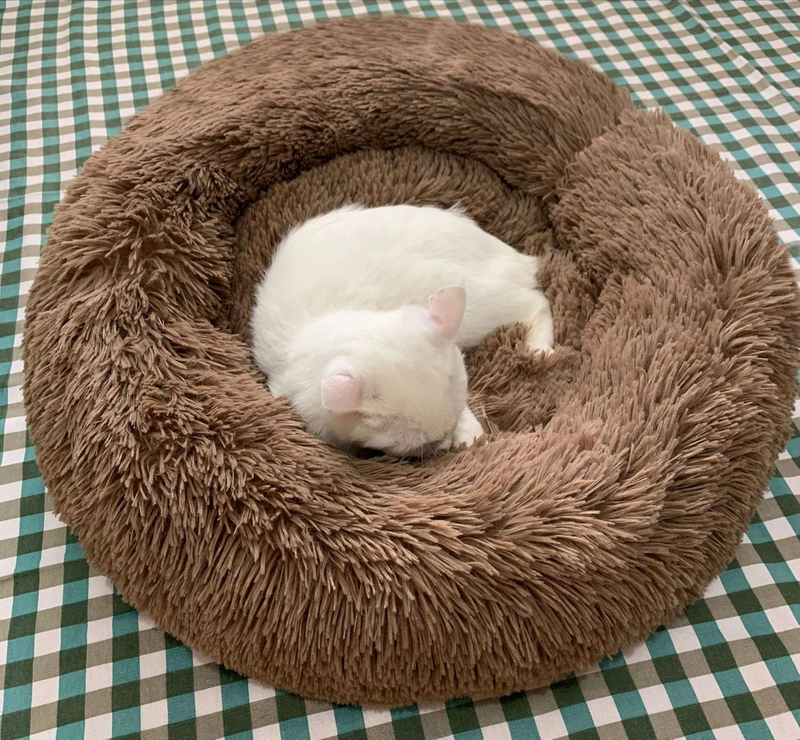 Round soft plush bed 70cm-null