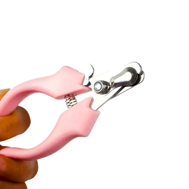 &Epsilon;&iota;&delta;&iota;&kappa;ό &psi;&alpha;&lambda;ί&delta;&iota; &gamma;&iota;&alpha; &nu;ύ&chi;&iota;&alpha; &kappa;&alpha;&tau;&omicron;&iota;&kappa;ί&delta;&iota;&omega;&nu; &zeta;ώ&omega;&nu;, , medium-null