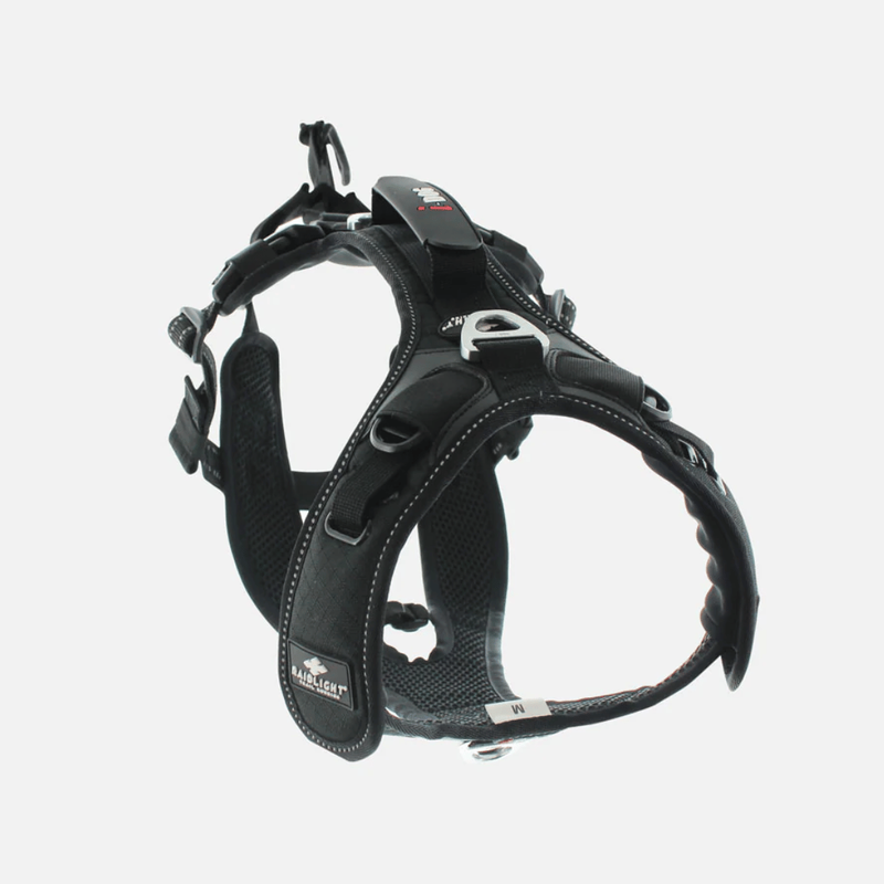 I-dog x raidlight - dog harness-null