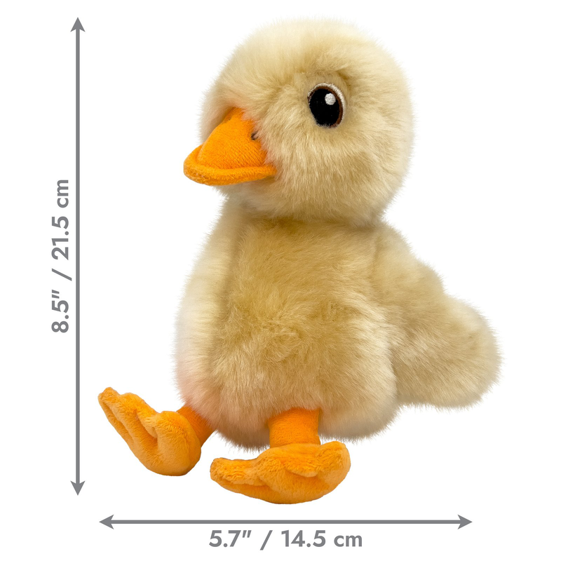 Kong touGHz duck medium-null