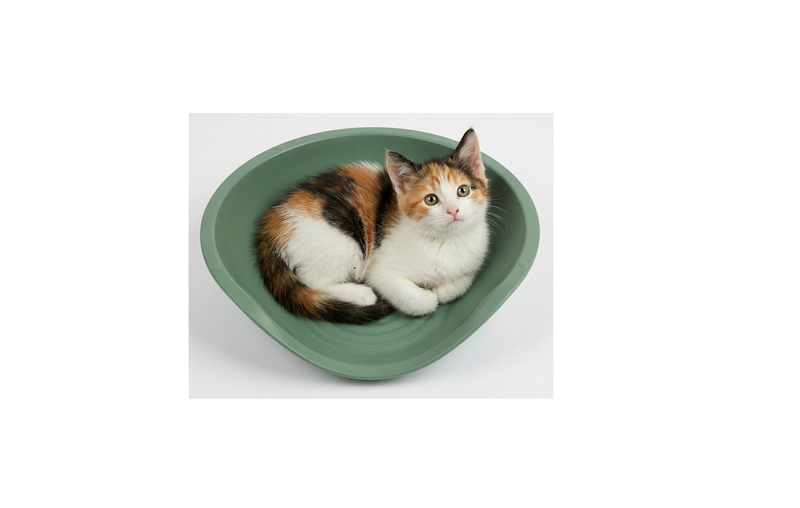 Bed for animals 57x48xh16cm - modern design-null