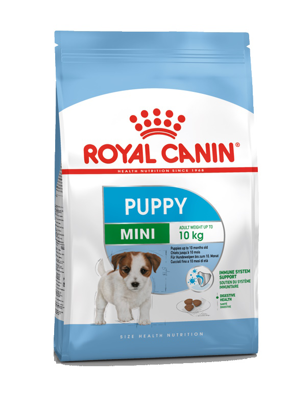 Mini puppy-null