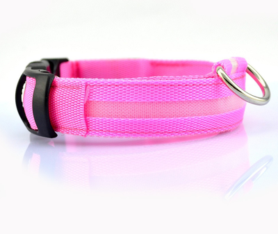 Led USB collar for pets, Purple, medium